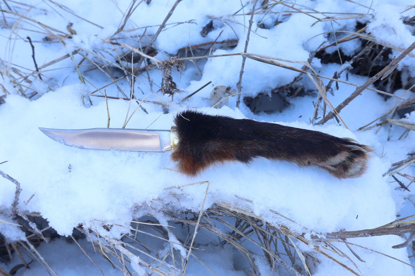 Red Fox Paw Knife