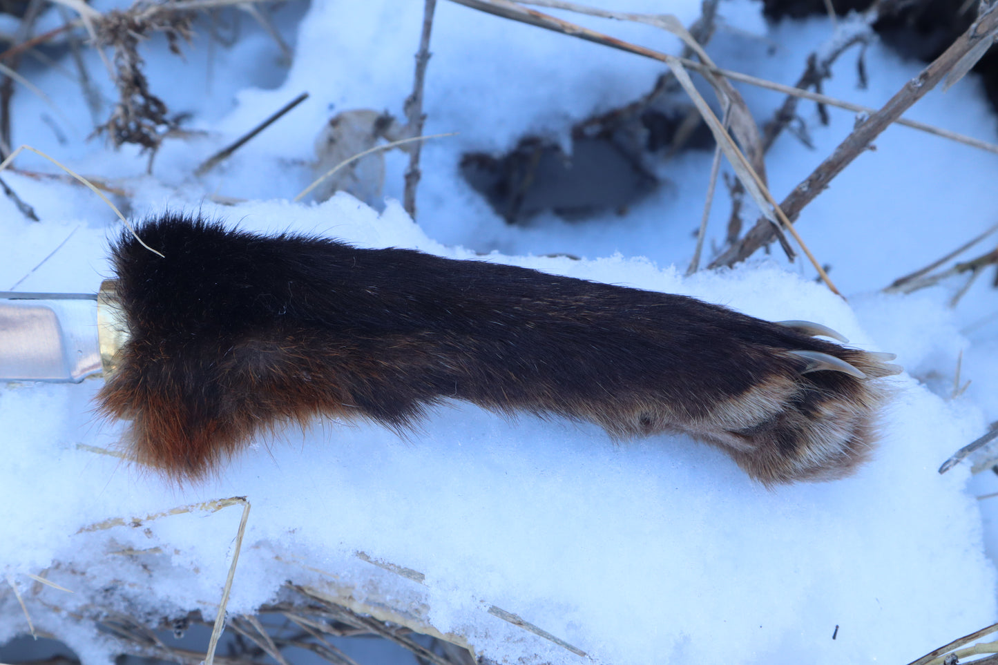 Red Fox Paw Knife