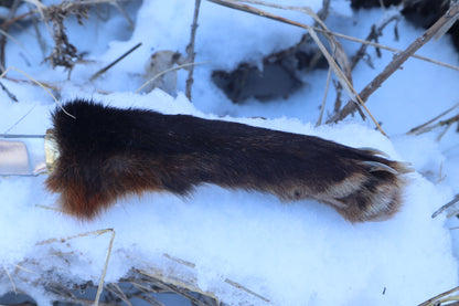Red Fox Paw Knife