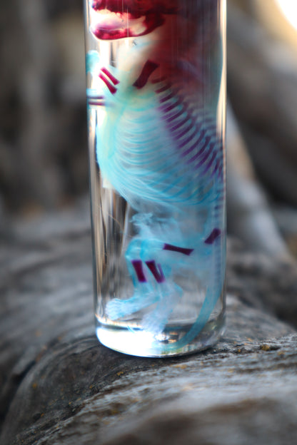Diaphonized Fetal Skunk