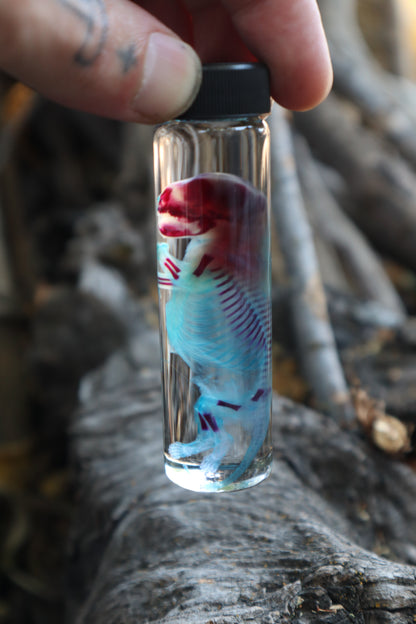 Diaphonized Fetal Skunk