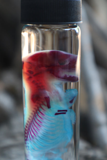 Diaphonized Fetal Skunk
