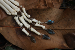 Fluid Bobcat Paw Articulation with Labradorite “Claws”