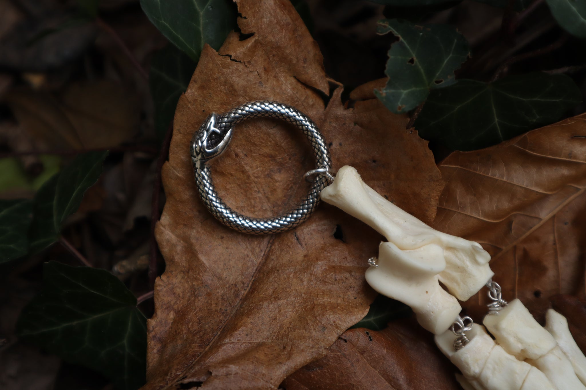 Fluid Bobcat Paw Articulation with Labradorite “Claws”