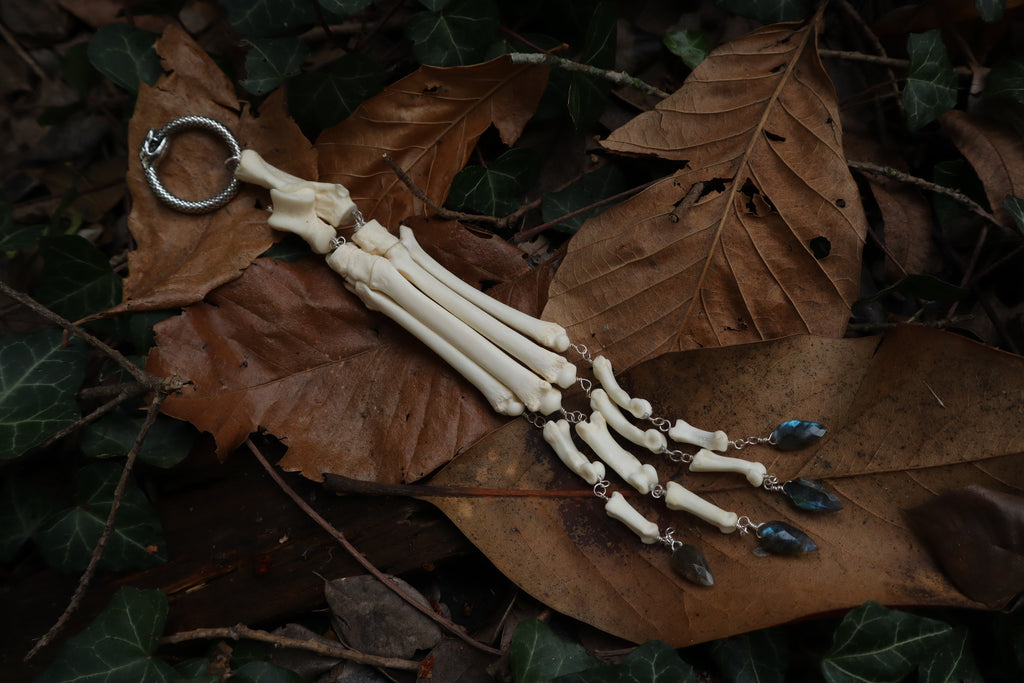Fluid Bobcat Paw Articulation with Labradorite “Claws”