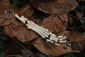 Fluid Bobcat Paw Articulation with Labradorite “Claws”