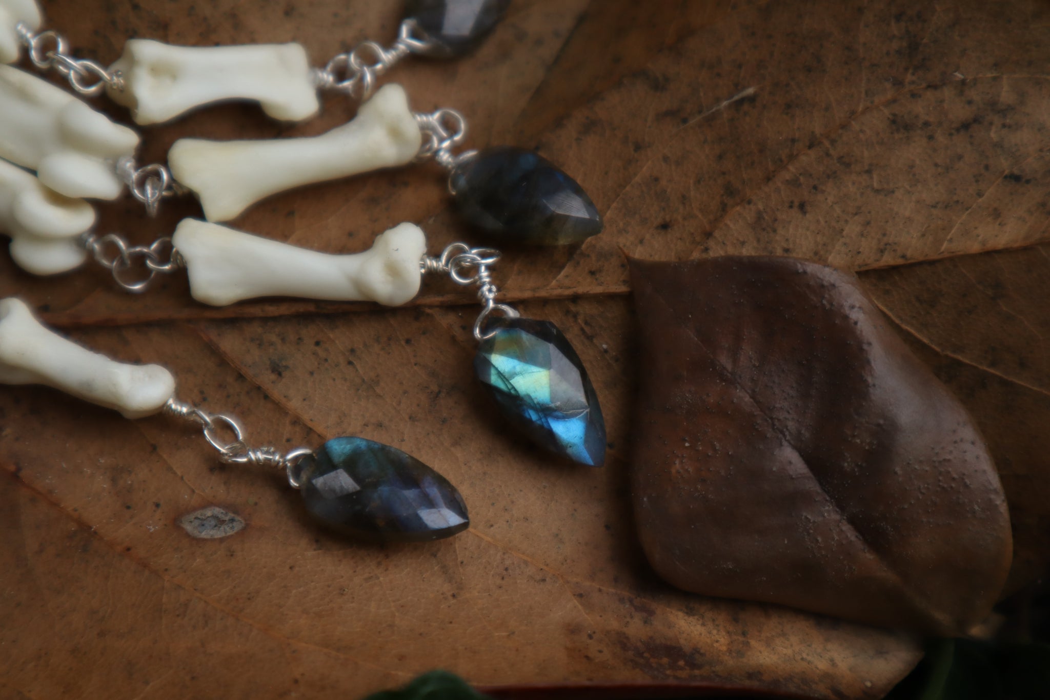 Fluid Bobcat Paw Articulation with Labradorite “Claws”
