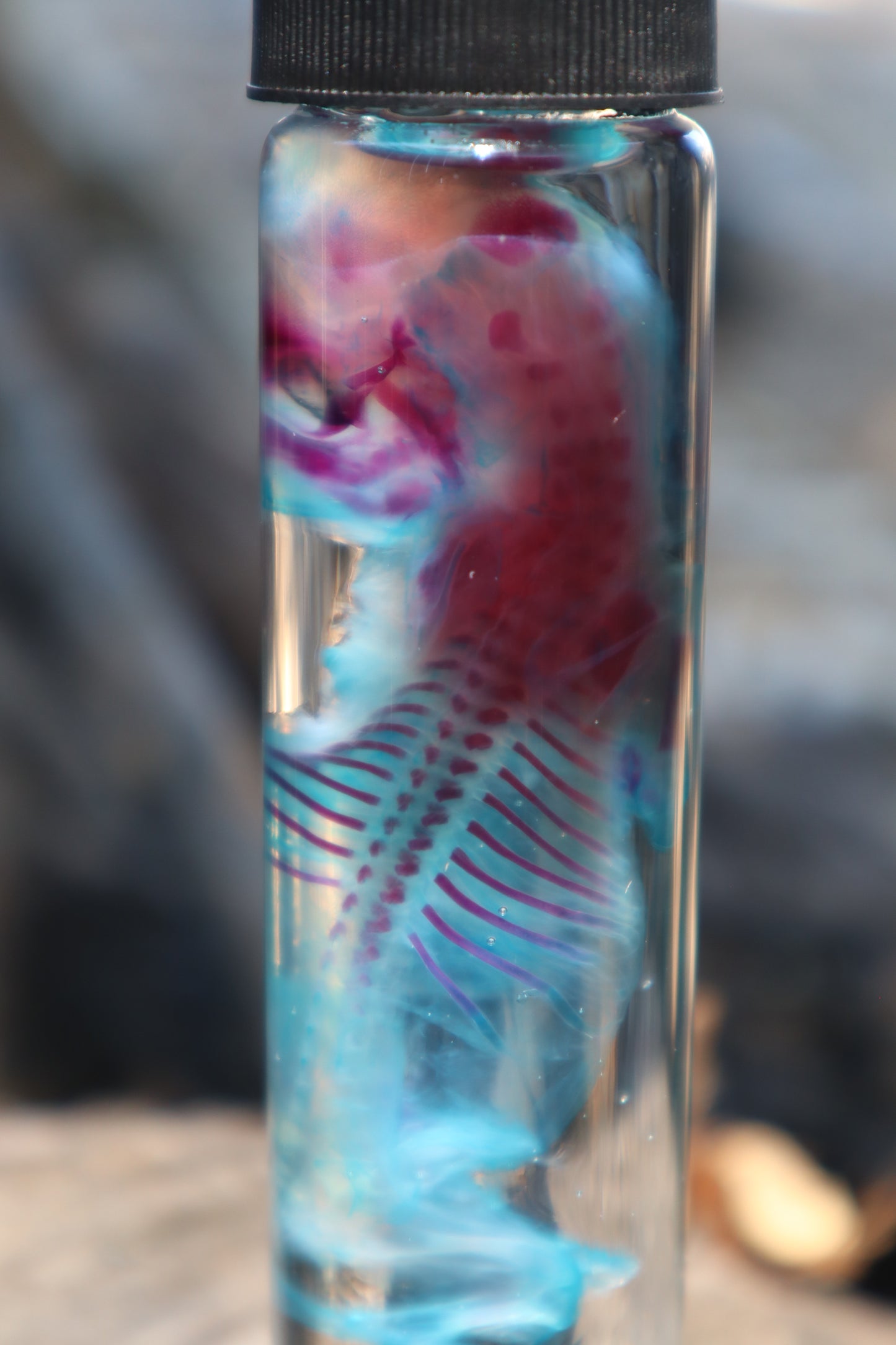 Diaphonized Fetal Coyote Pup