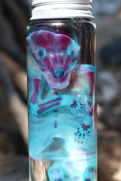 Diaphonized Fetal Raccoon