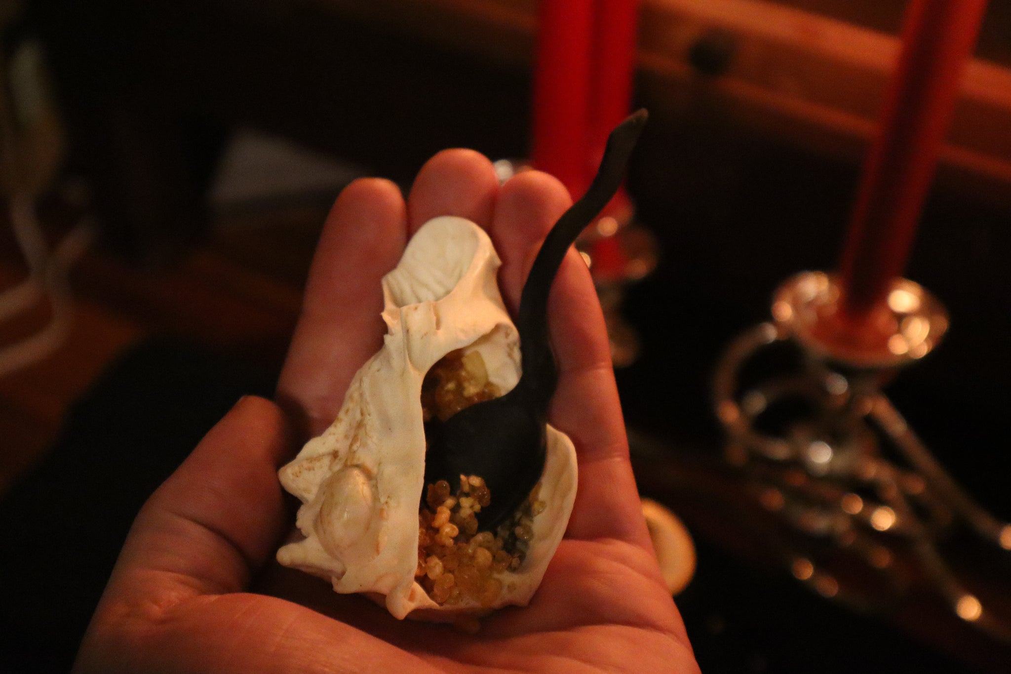 Goat Horn Ritual Set