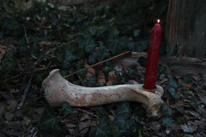 Elk Bone Incense Burner and Candle Holder