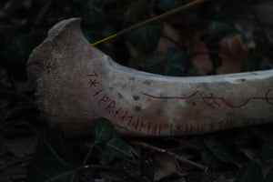 Elk Bone Incense Burner and Candle Holder