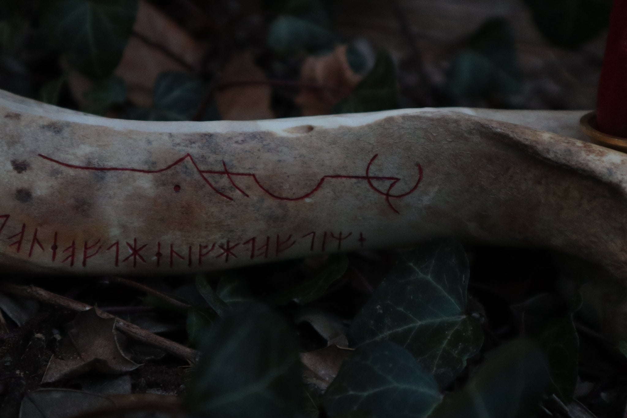 Elk Bone Incense Burner and Candle Holder
