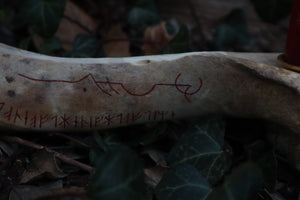 Elk Bone Incense Burner and Candle Holder
