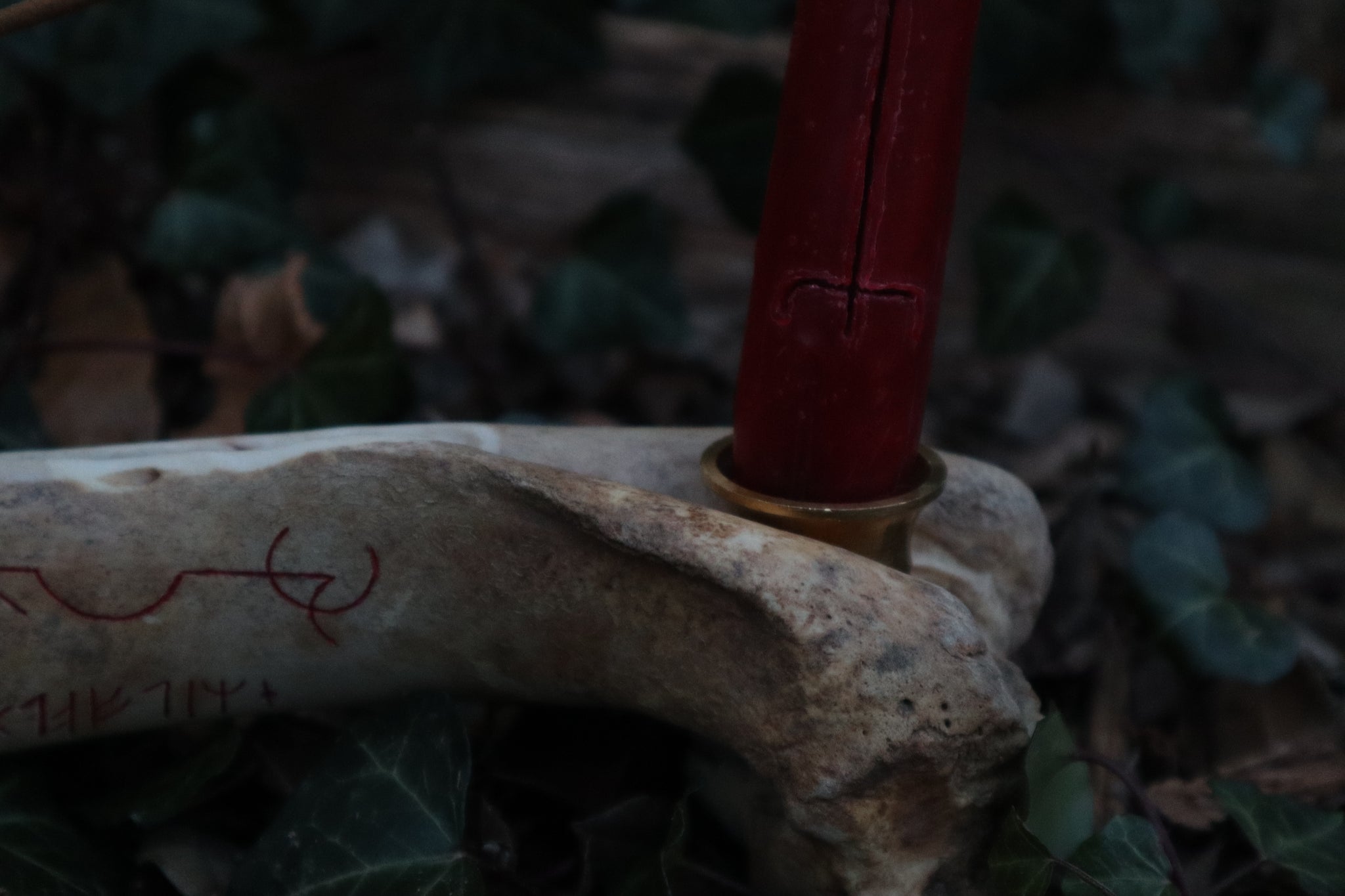 Elk Bone Incense Burner and Candle Holder