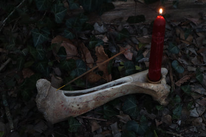 Elk Bone Incense Burner and Candle Holder
