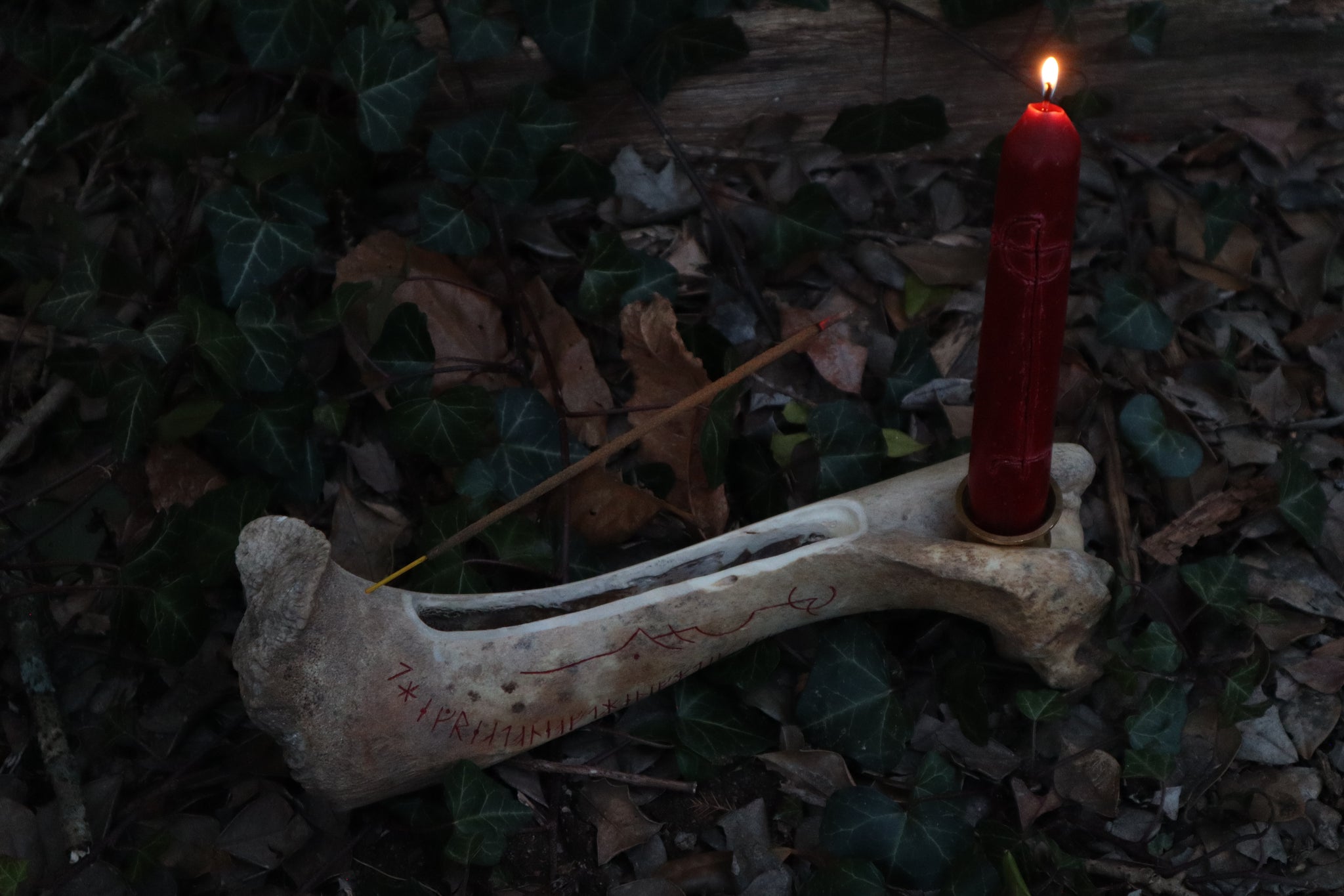 Elk Bone Incense Burner and Candle Holder