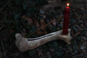 Elk Bone Incense Burner and Candle Holder