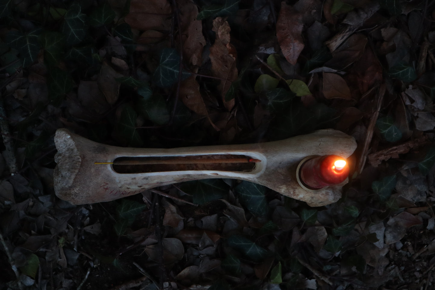 Elk Bone Incense Burner and Candle Holder