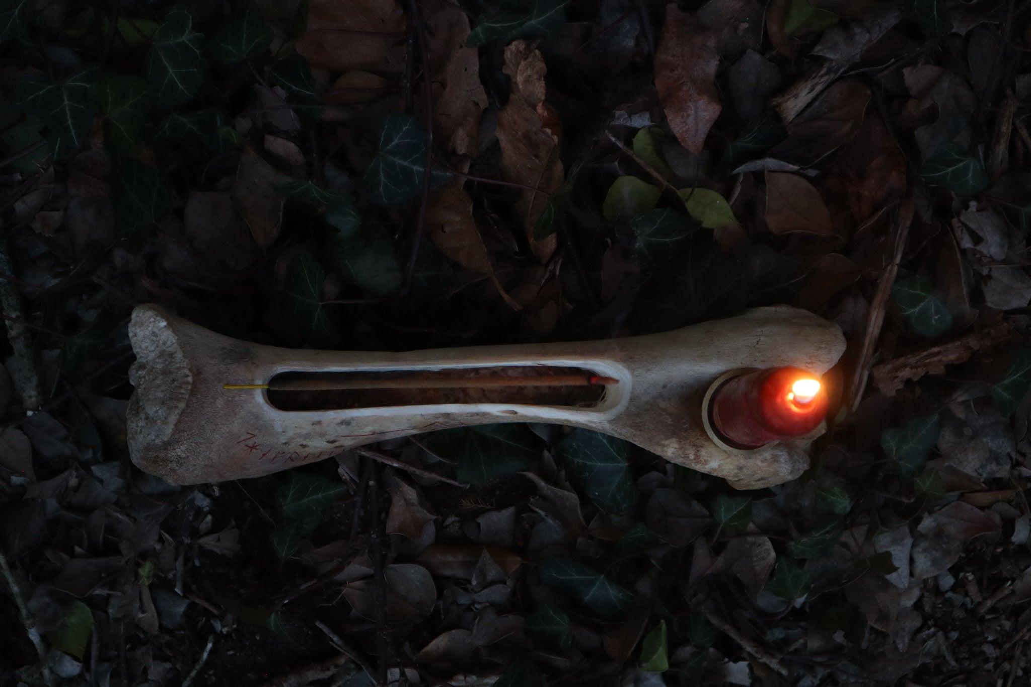 Elk Bone Incense Burner and Candle Holder