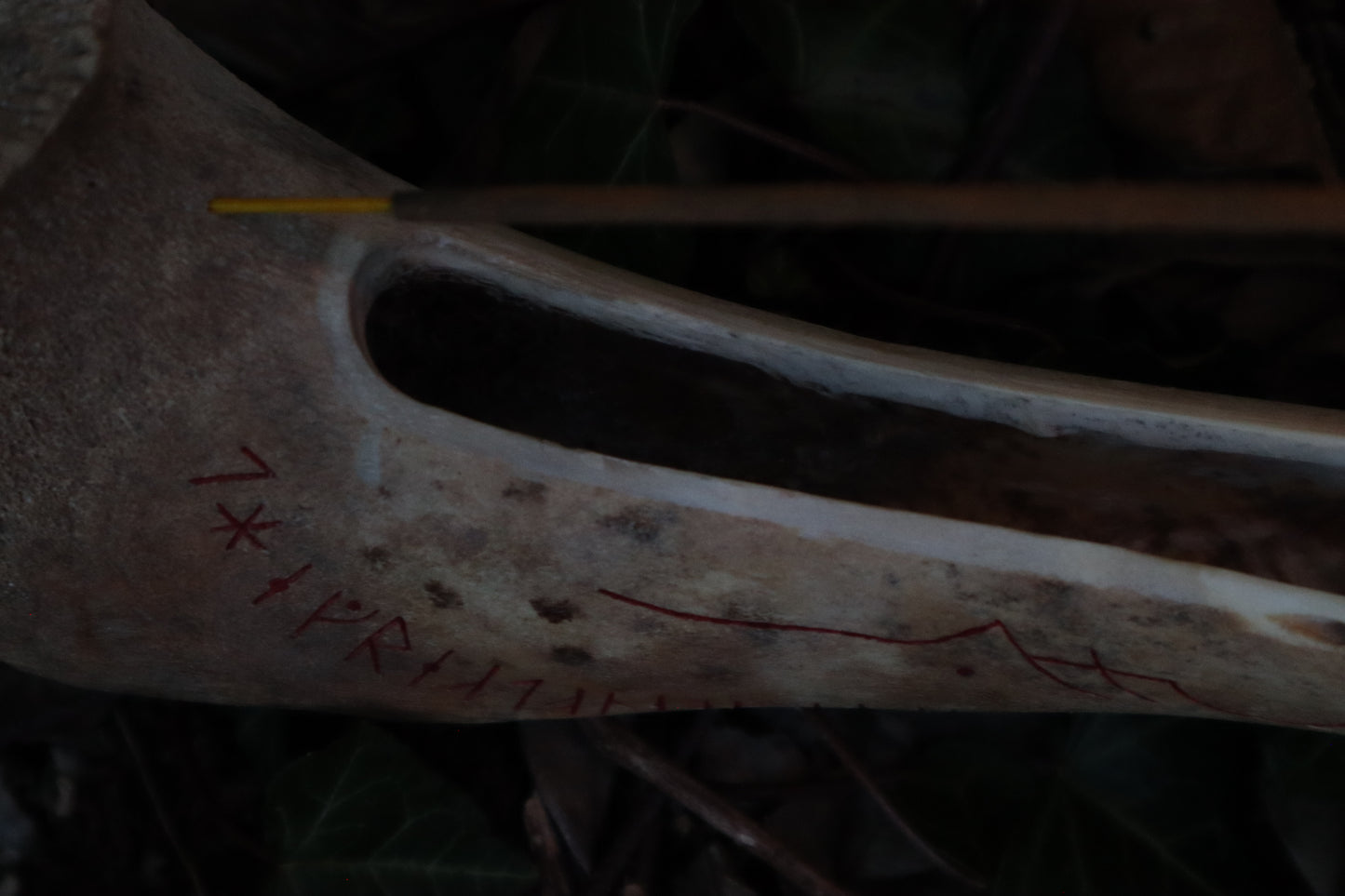 Elk Bone Incense Burner and Candle Holder