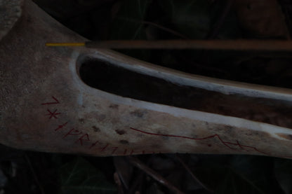 Elk Bone Incense Burner and Candle Holder