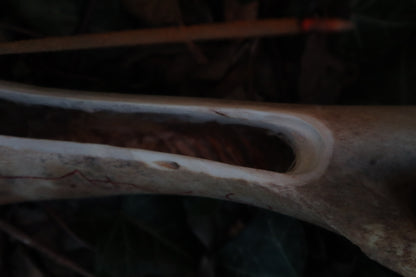 Elk Bone Incense Burner and Candle Holder