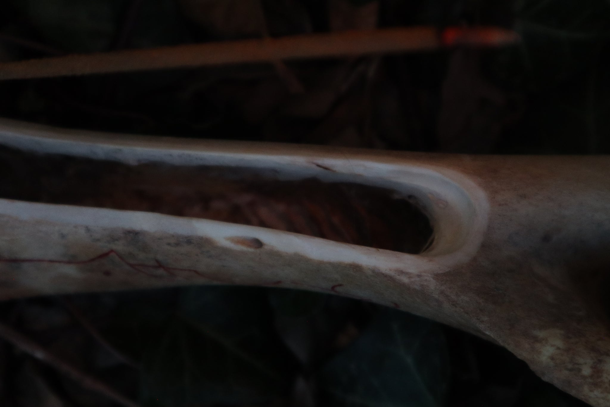 Elk Bone Incense Burner and Candle Holder