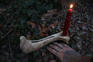 Elk Bone Incense Burner and Candle Holder