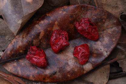Dry Preserved Chicken Heart