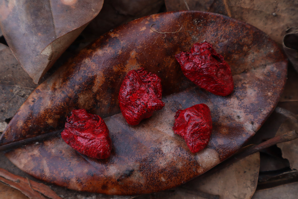 Dry Preserved Chicken Heart