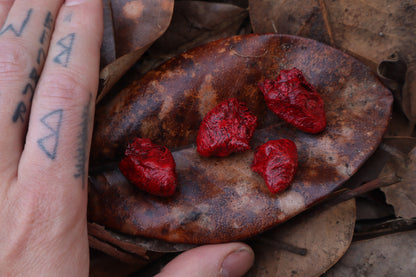 Dry Preserved Chicken Heart