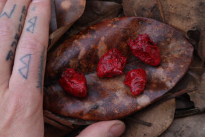 Dry Preserved Chicken Heart
