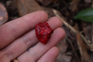 Dry Preserved Chicken Heart