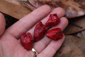 Dry Preserved Chicken Heart