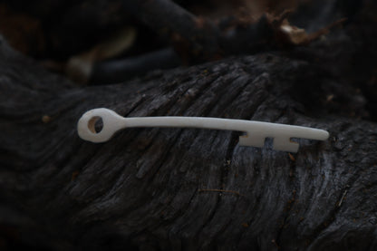 Reserved for Autumn - Wolf Bone Skeleton Key