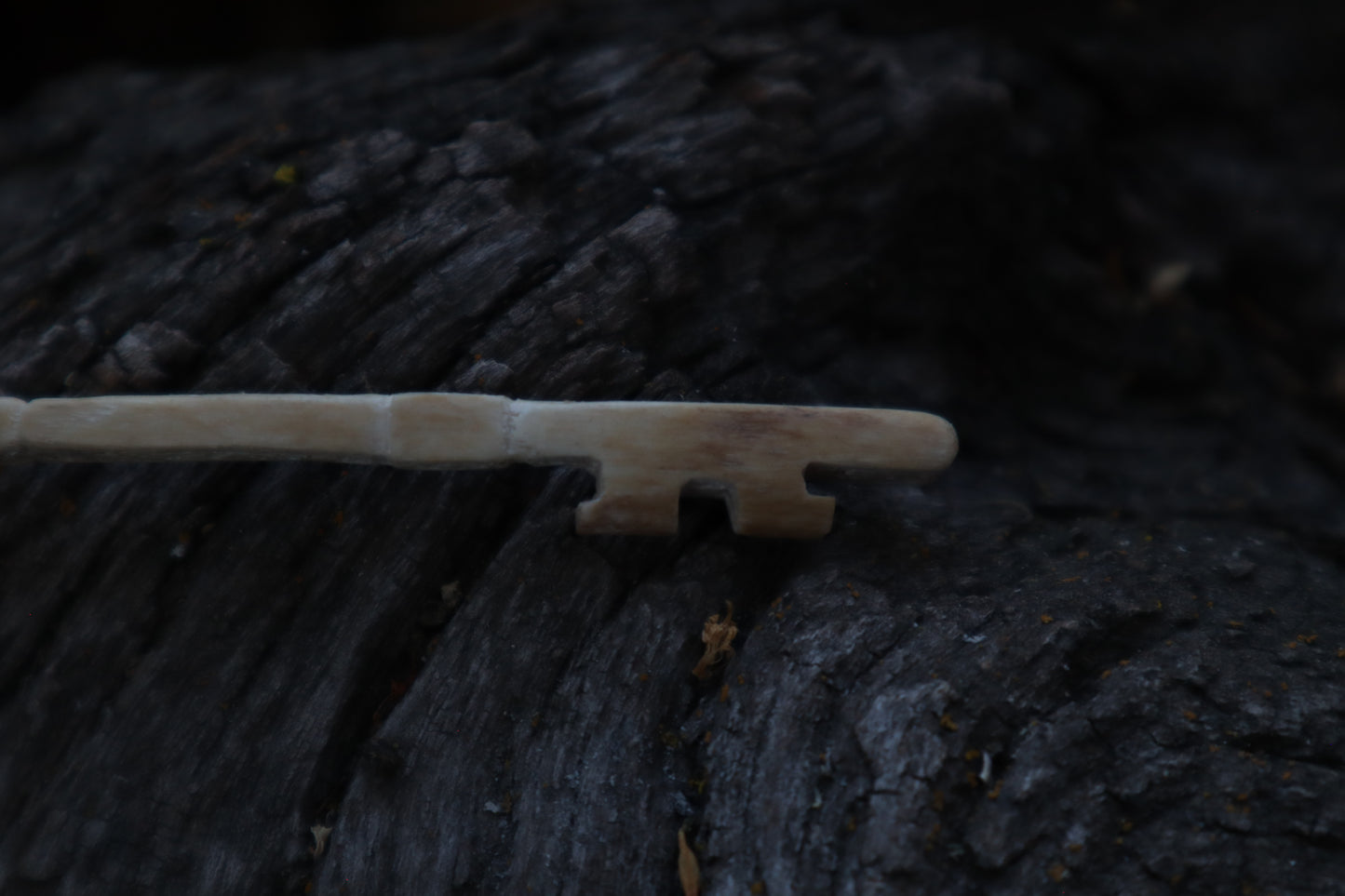 German Shepherd Bone Skeleton Key