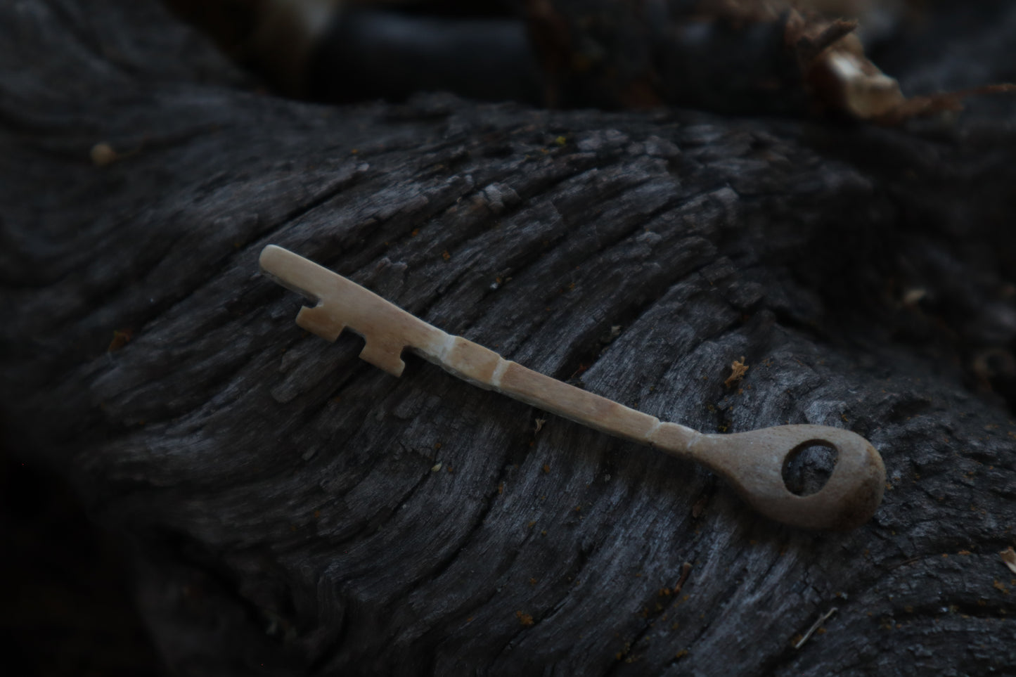 German Shepherd Bone Skeleton Key
