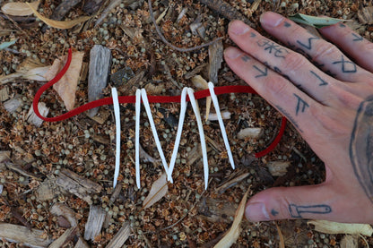 Reserved for Mug - Wolf Bone Sewing Needle