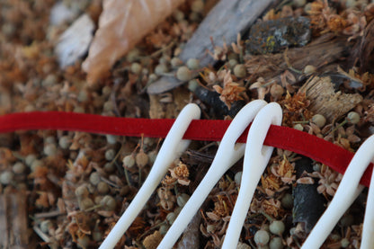 Wolf Bone Sewing Needle