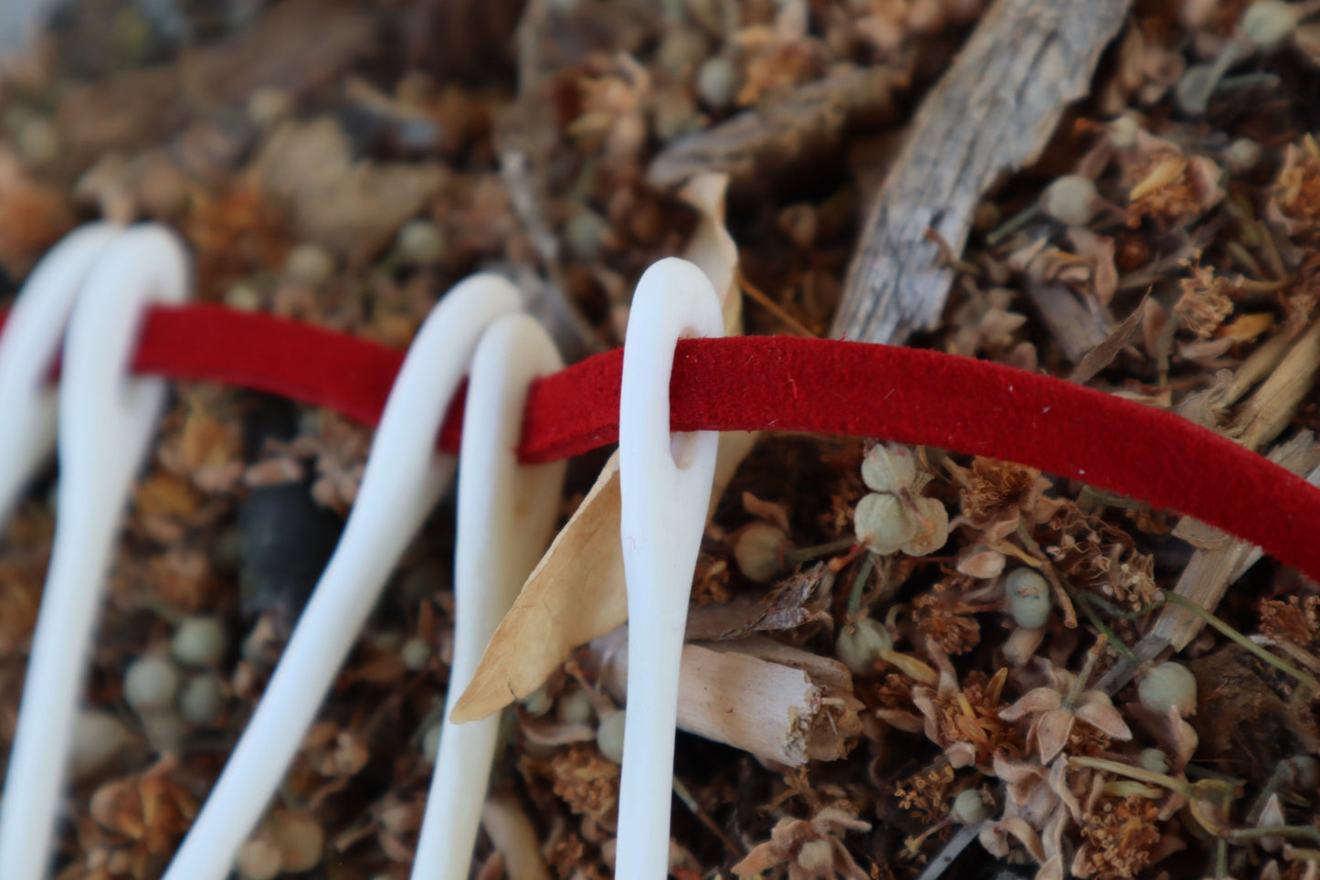 Reserved for Karen- Wolf Bone Sewing Needle