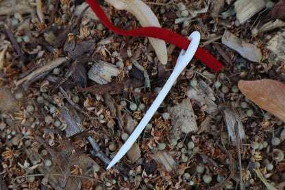 Wolf Bone Sewing Needle