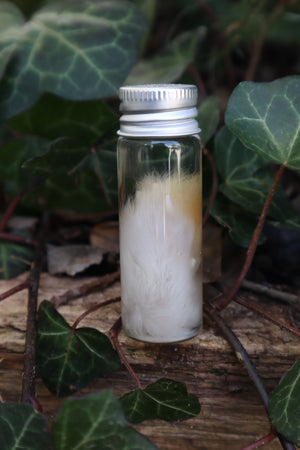 Wet Specimen Rabbit Paw