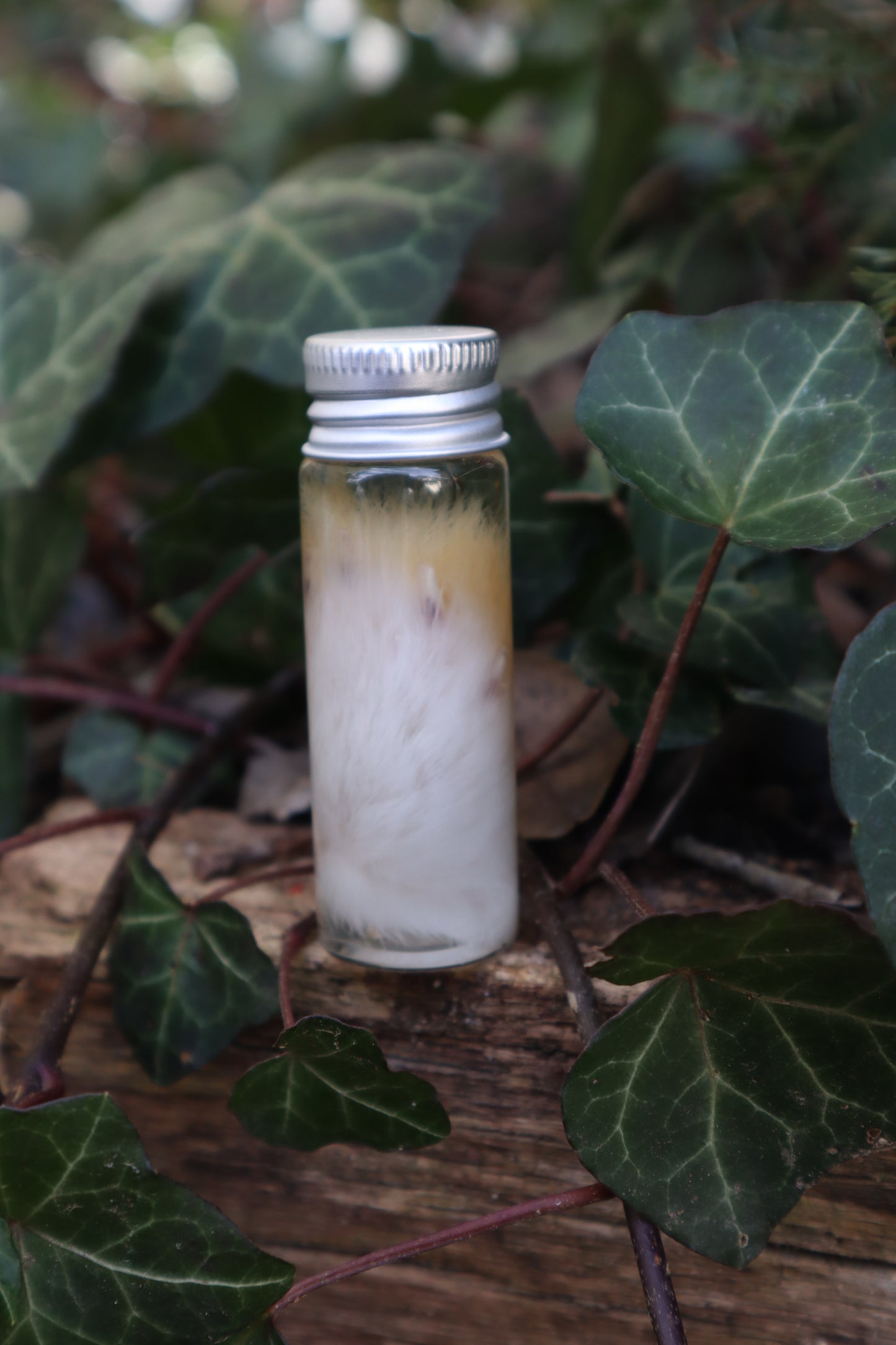 Wet Specimen Rabbit Paw