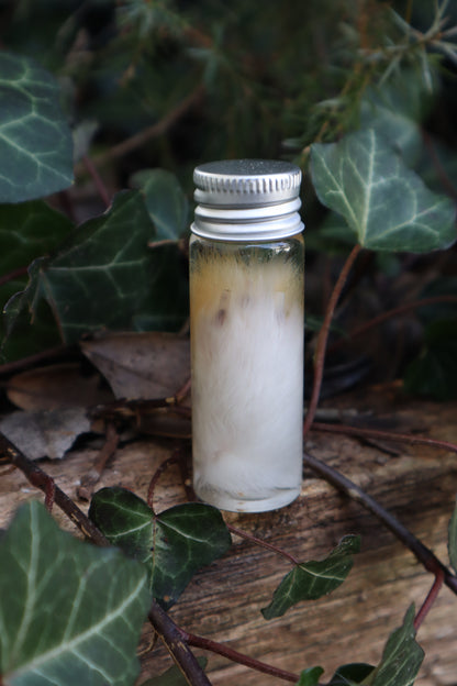 Wet Specimen Rabbit Paw