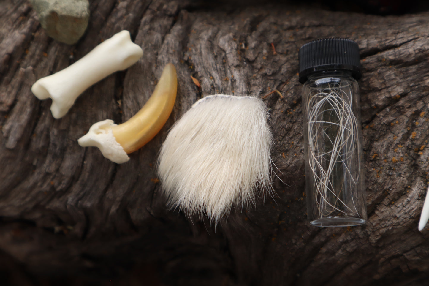 Wolf Fylgja Pouch