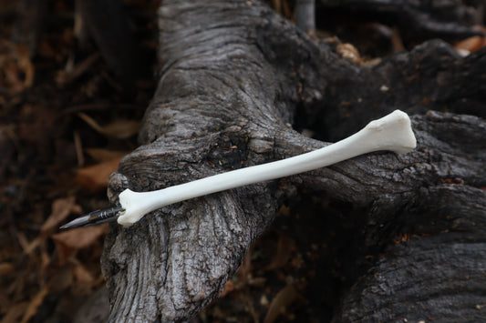 Red Fox Bone Calligraphy Pen