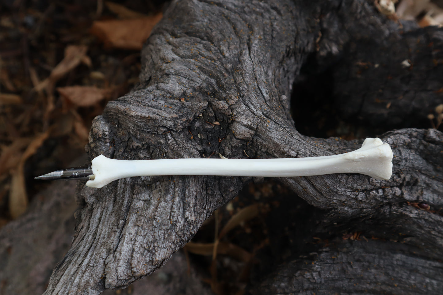 Red Fox Bone Calligraphy Pen