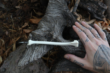 Red Fox Bone Calligraphy Pen