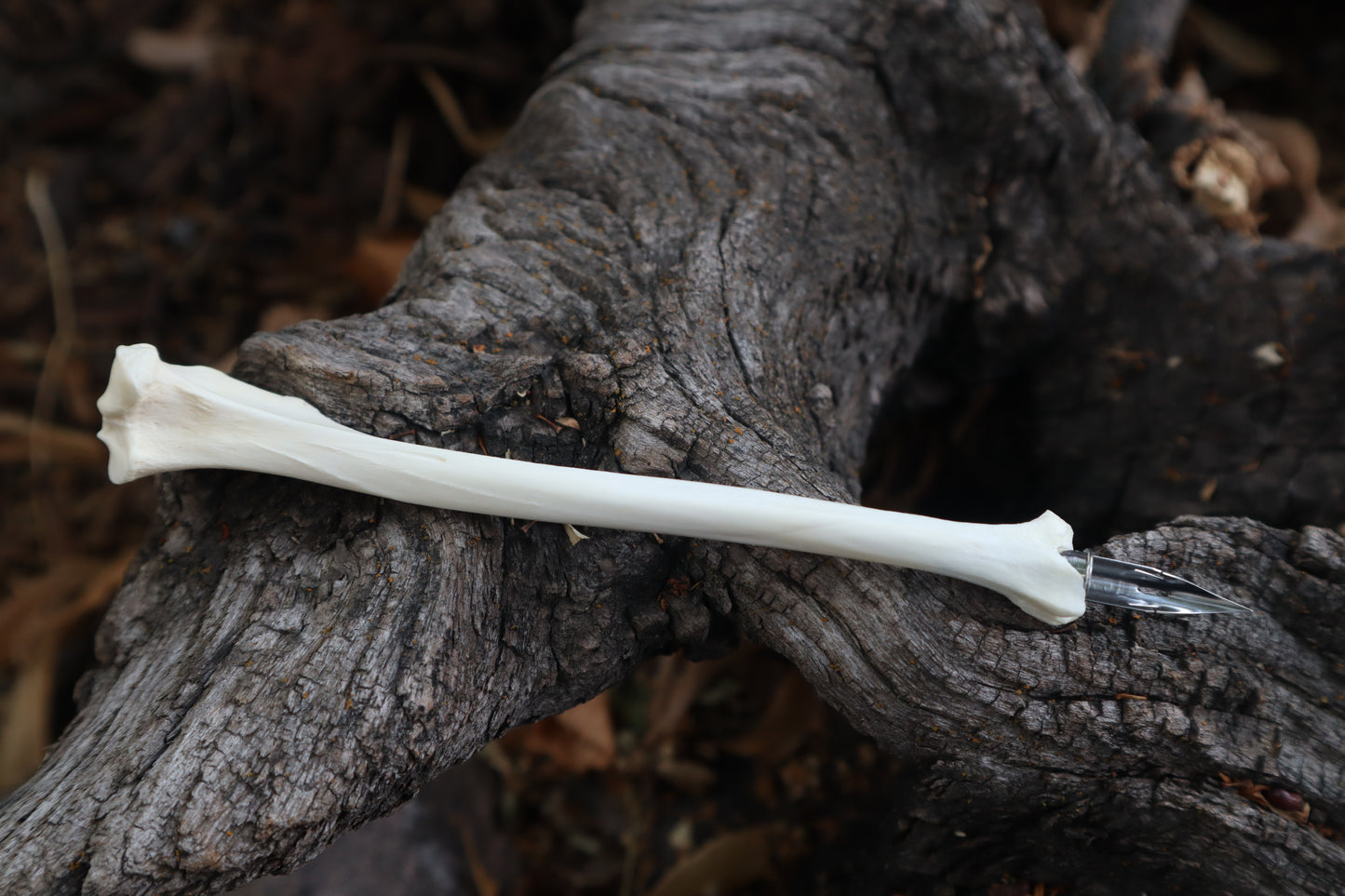 Red Fox Bone Calligraphy Pen